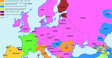 etymology